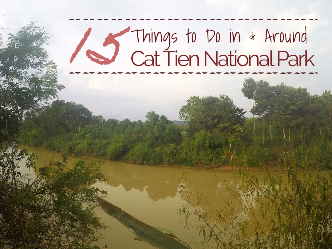 15 Things to Do in and Around Cat Tien National Park